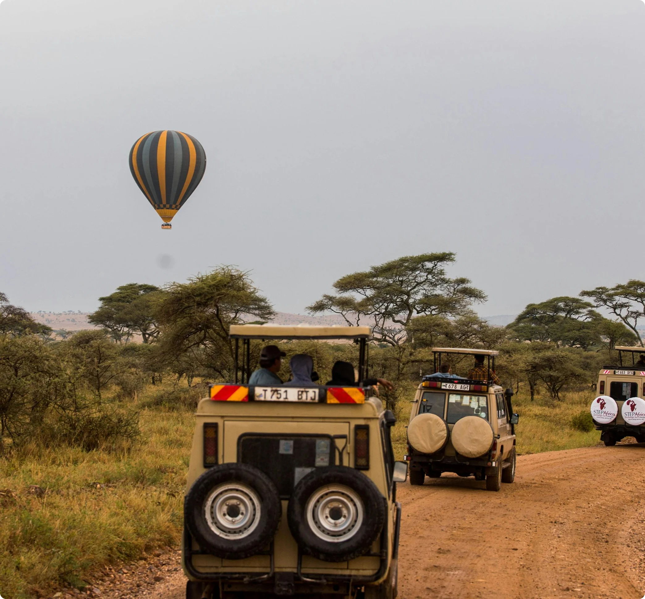 Ultimate Uganda Wildlife Safari